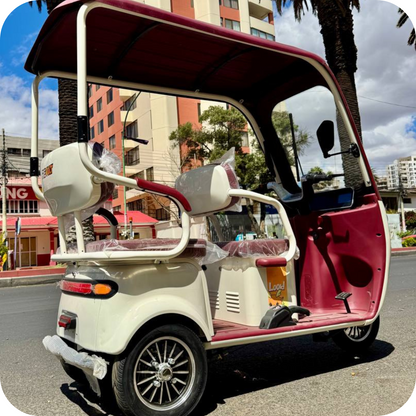 Trimoto maxi Familiar