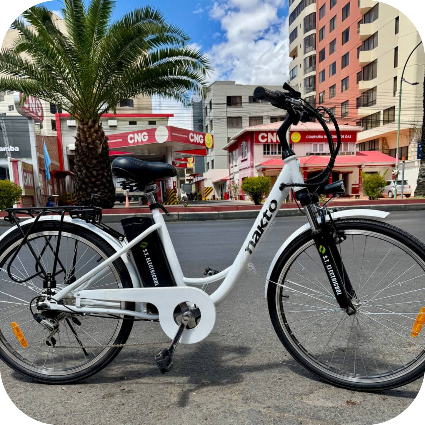 🚴♂️ Bicicleta Eléctrica RV10