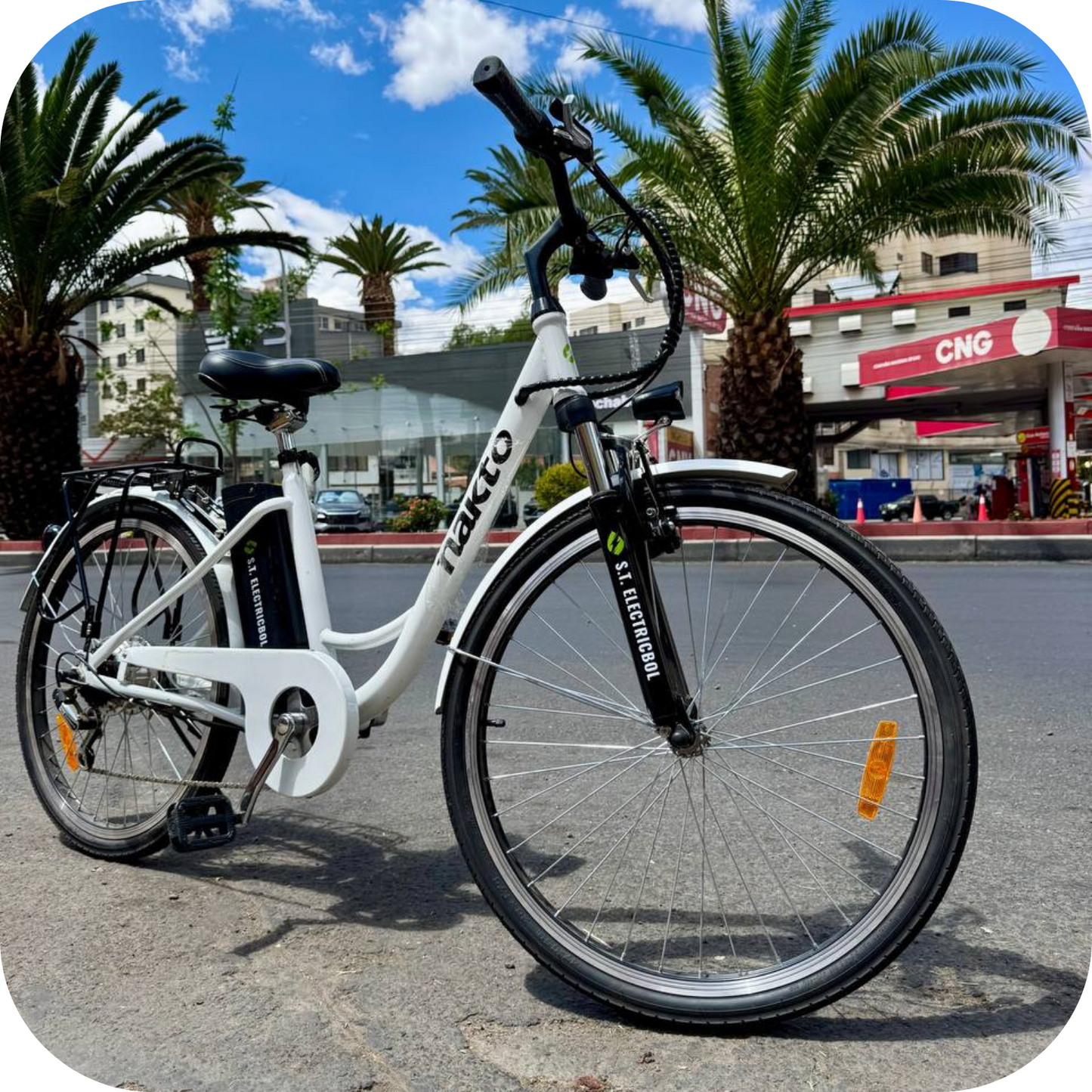 🚴♂️ Bicicleta Eléctrica RV10