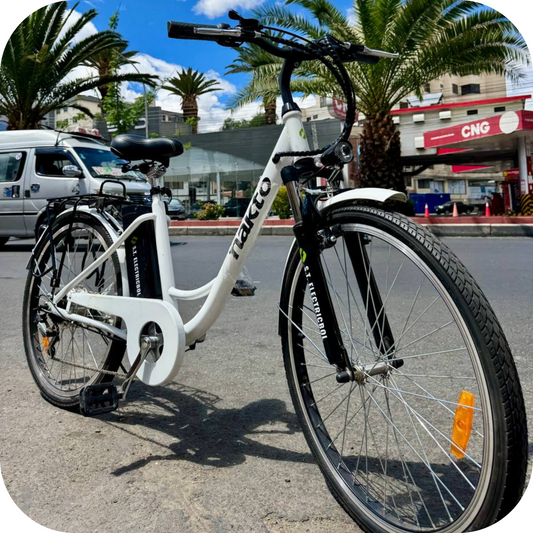 🚴♂️ Bicicleta Eléctrica RV10