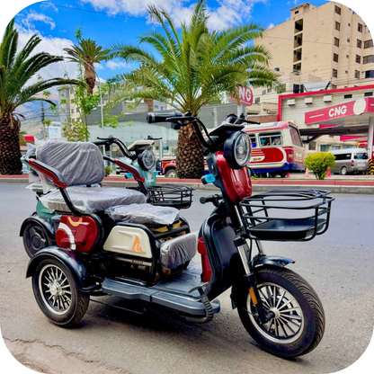 🛺 Trimoto Eléctrica TR1