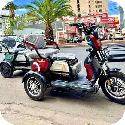 🛺 Trimoto Eléctrica TR1